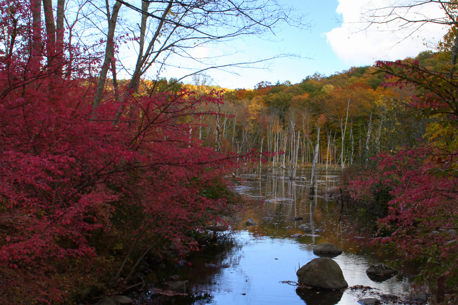 West Milford Township
